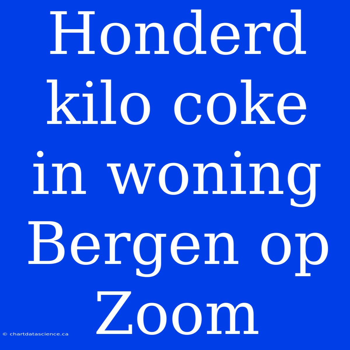 Honderd Kilo Coke In Woning Bergen Op Zoom