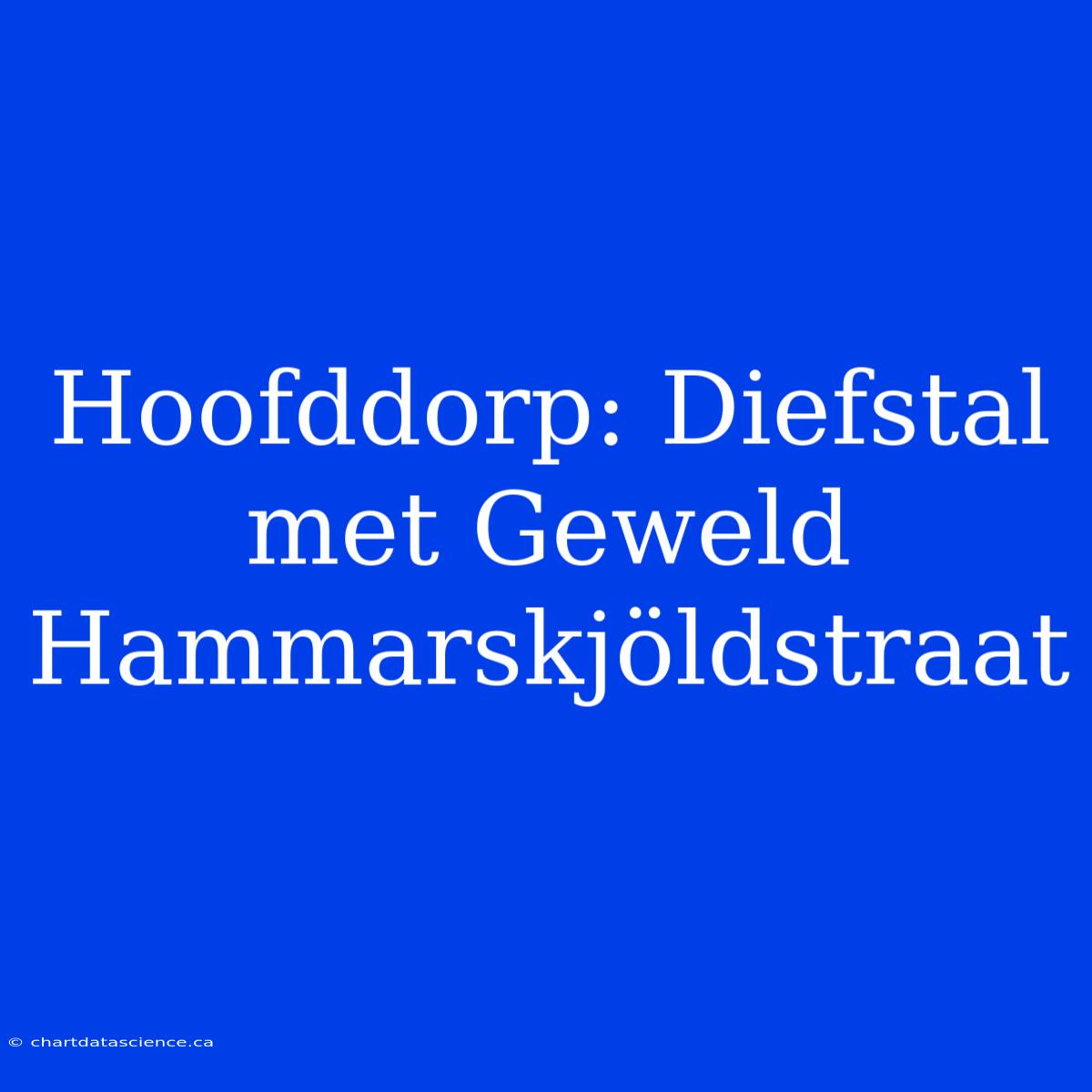 Hoofddorp: Diefstal Met Geweld Hammarskjöldstraat