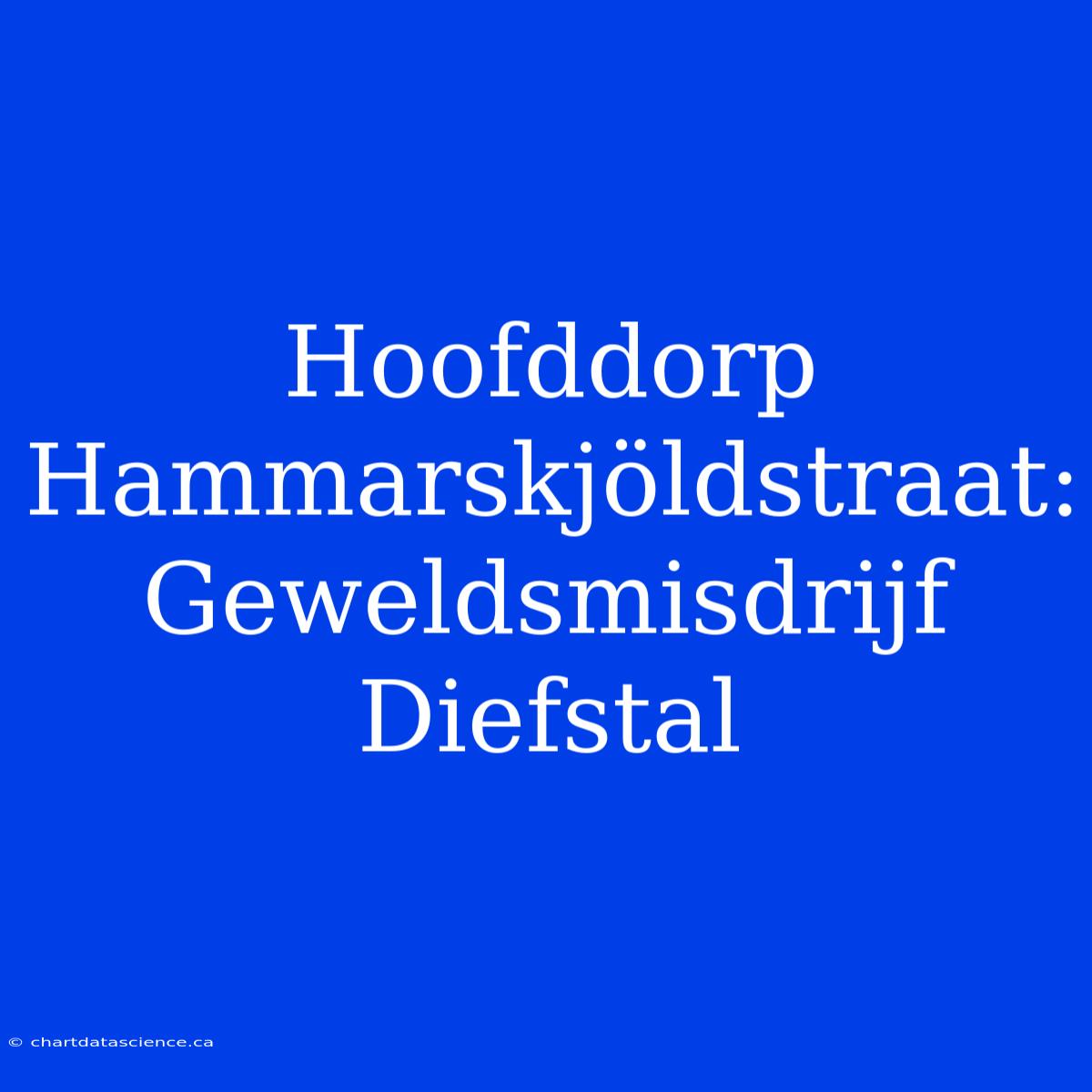 Hoofddorp Hammarskjöldstraat: Geweldsmisdrijf Diefstal