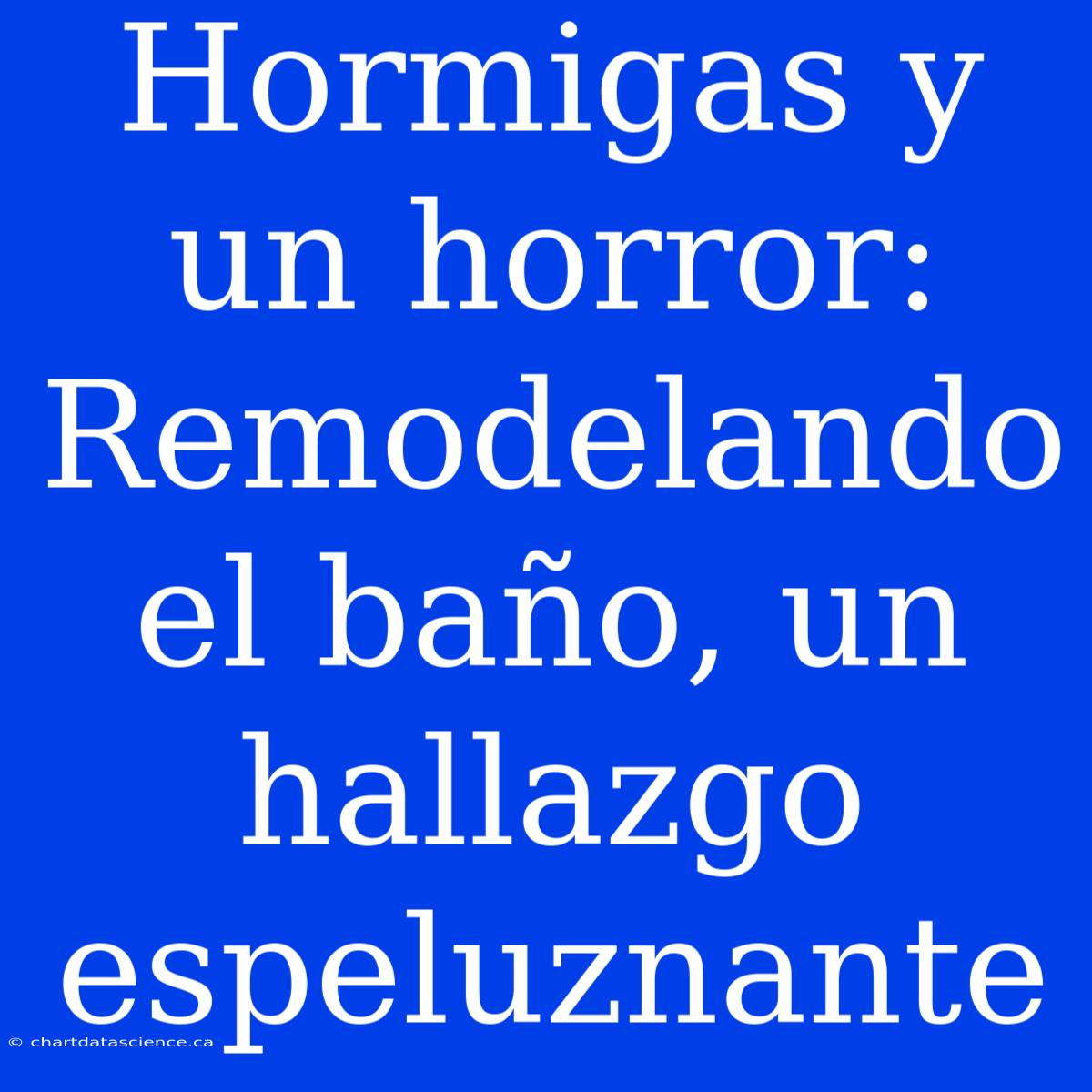 Hormigas Y Un Horror: Remodelando El Baño, Un Hallazgo Espeluznante