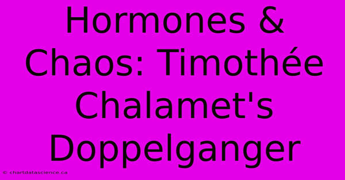 Hormones & Chaos: Timothée Chalamet's Doppelganger