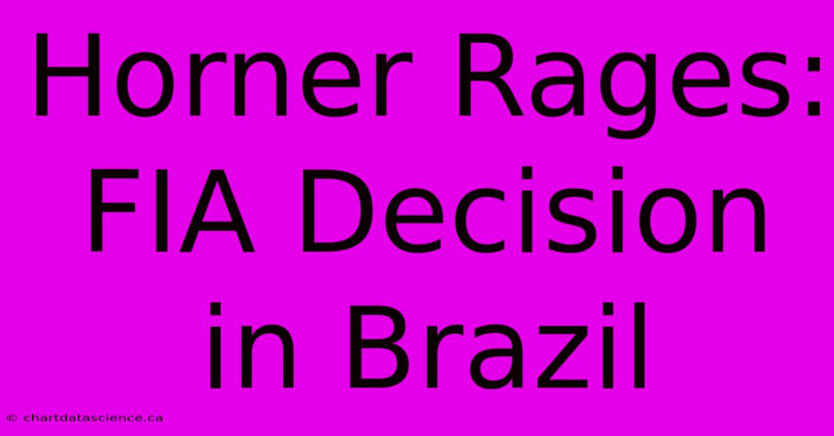 Horner Rages: FIA Decision In Brazil