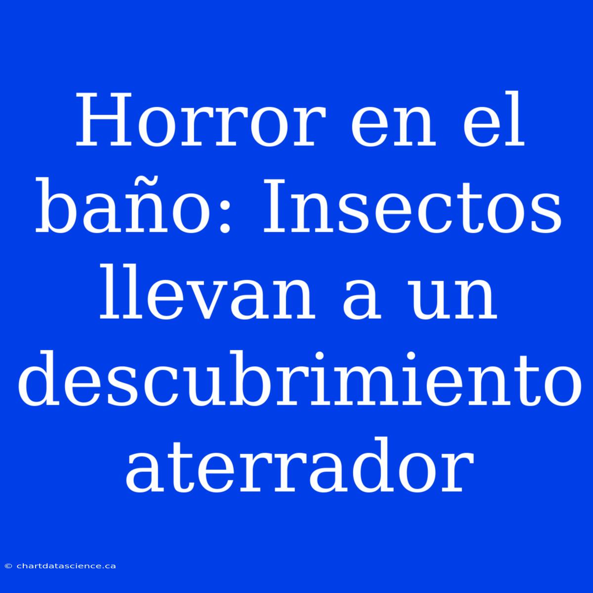 Horror En El Baño: Insectos Llevan A Un Descubrimiento Aterrador