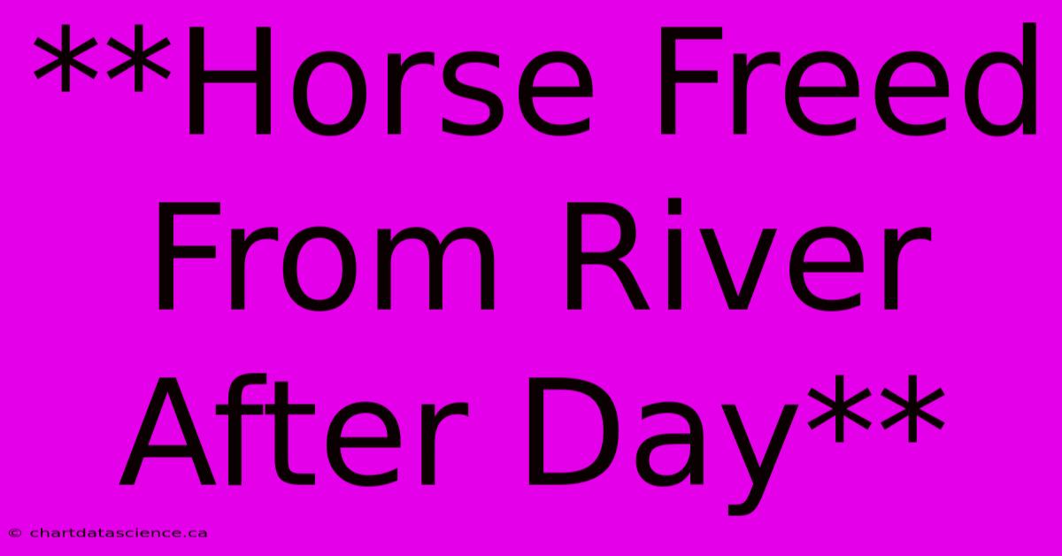 **Horse Freed From River After Day**