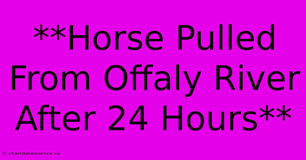 **Horse Pulled From Offaly River After 24 Hours**