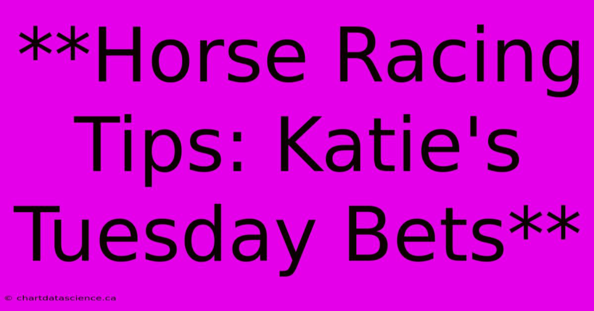 **Horse Racing Tips: Katie's Tuesday Bets**