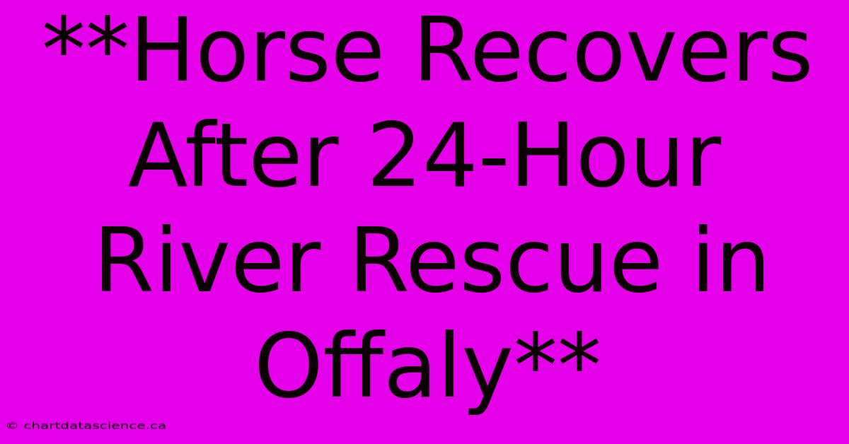 **Horse Recovers After 24-Hour River Rescue In Offaly**