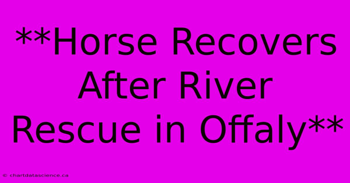 **Horse Recovers After River Rescue In Offaly**