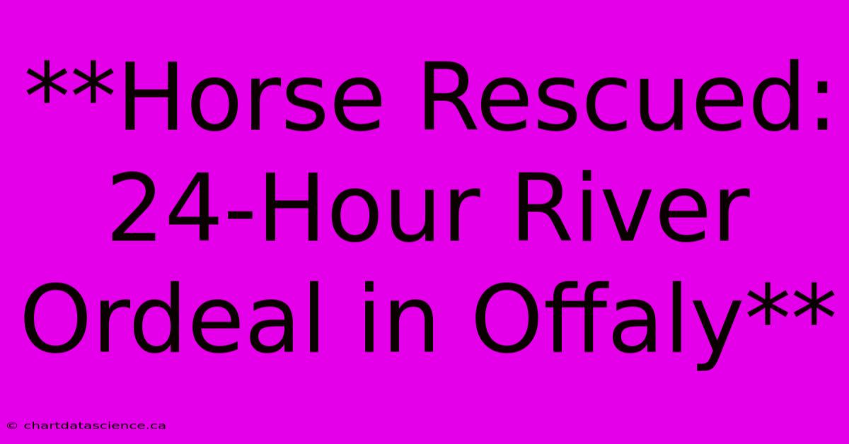 **Horse Rescued: 24-Hour River Ordeal In Offaly**