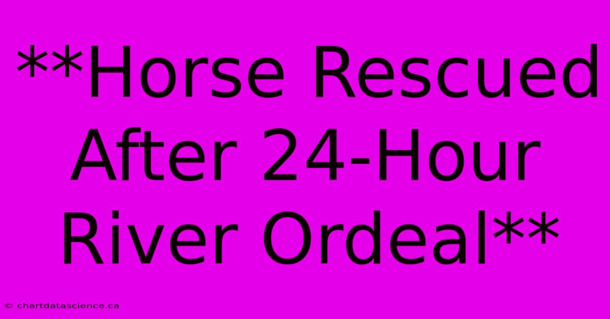 **Horse Rescued After 24-Hour River Ordeal** 