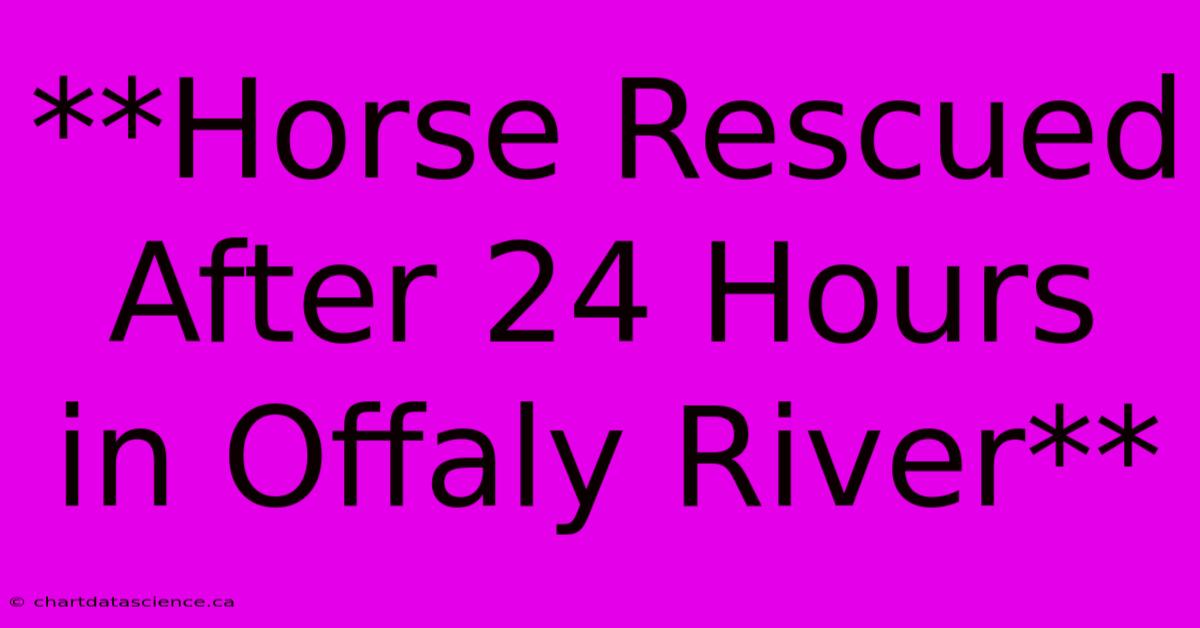 **Horse Rescued After 24 Hours In Offaly River** 