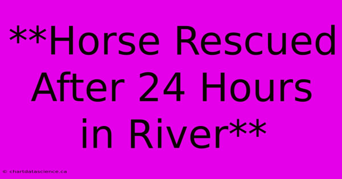 **Horse Rescued After 24 Hours In River**