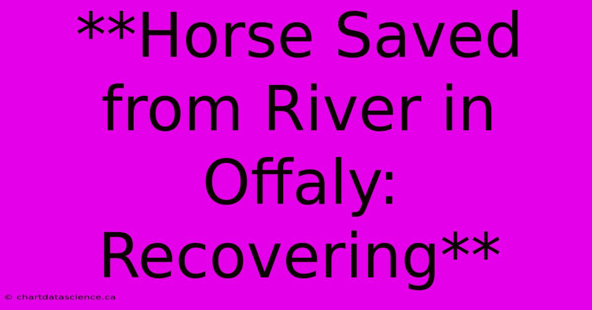 **Horse Saved From River In Offaly: Recovering** 