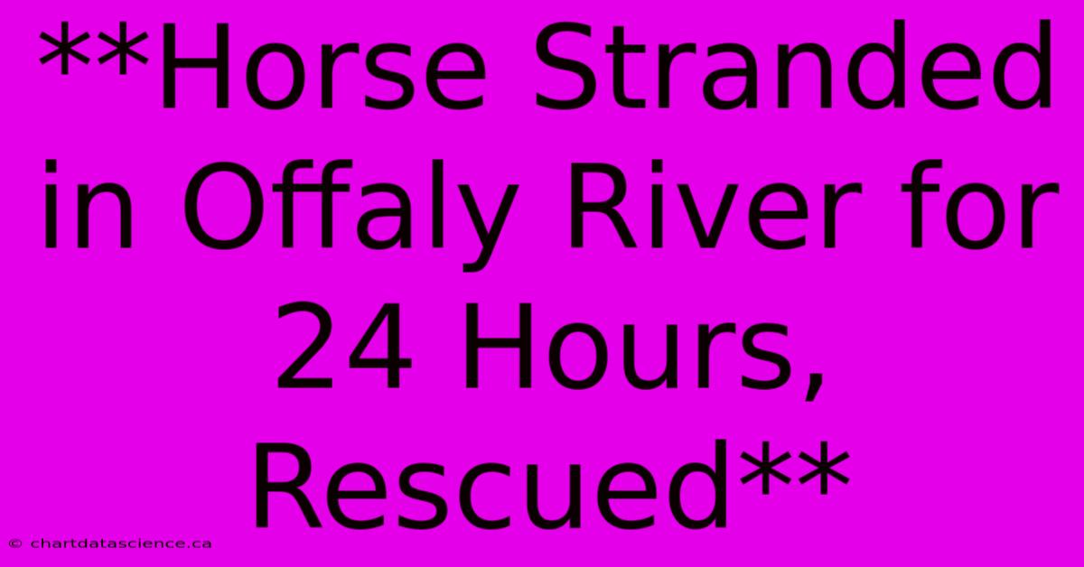 **Horse Stranded In Offaly River For 24 Hours, Rescued** 