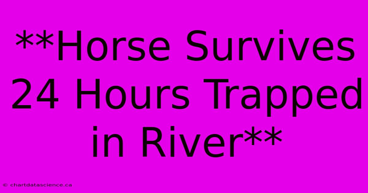 **Horse Survives 24 Hours Trapped In River** 