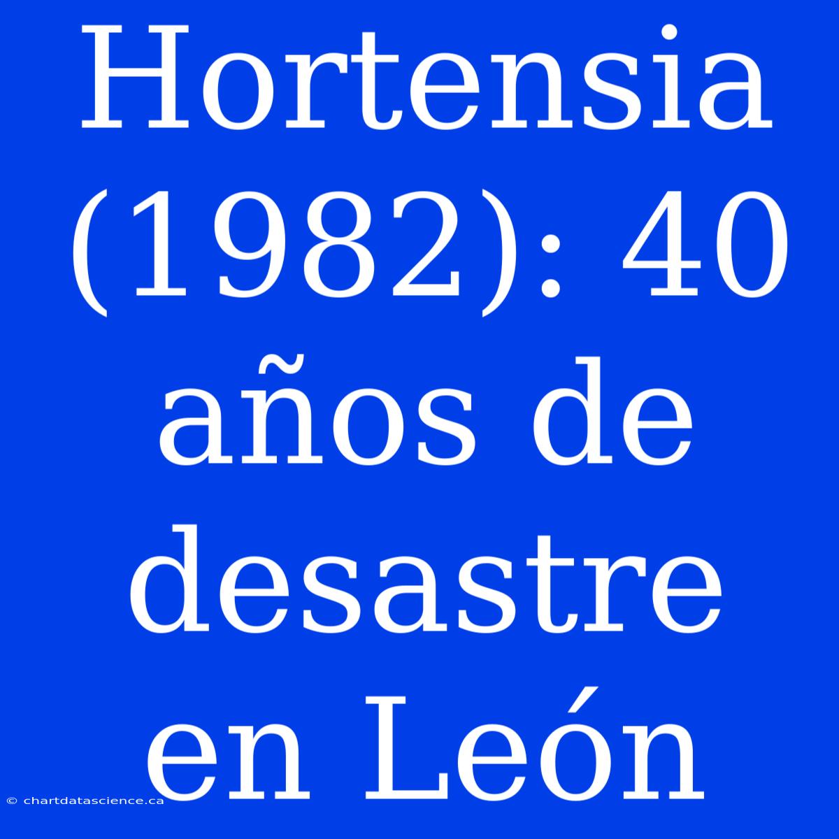 Hortensia (1982): 40 Años De Desastre En León