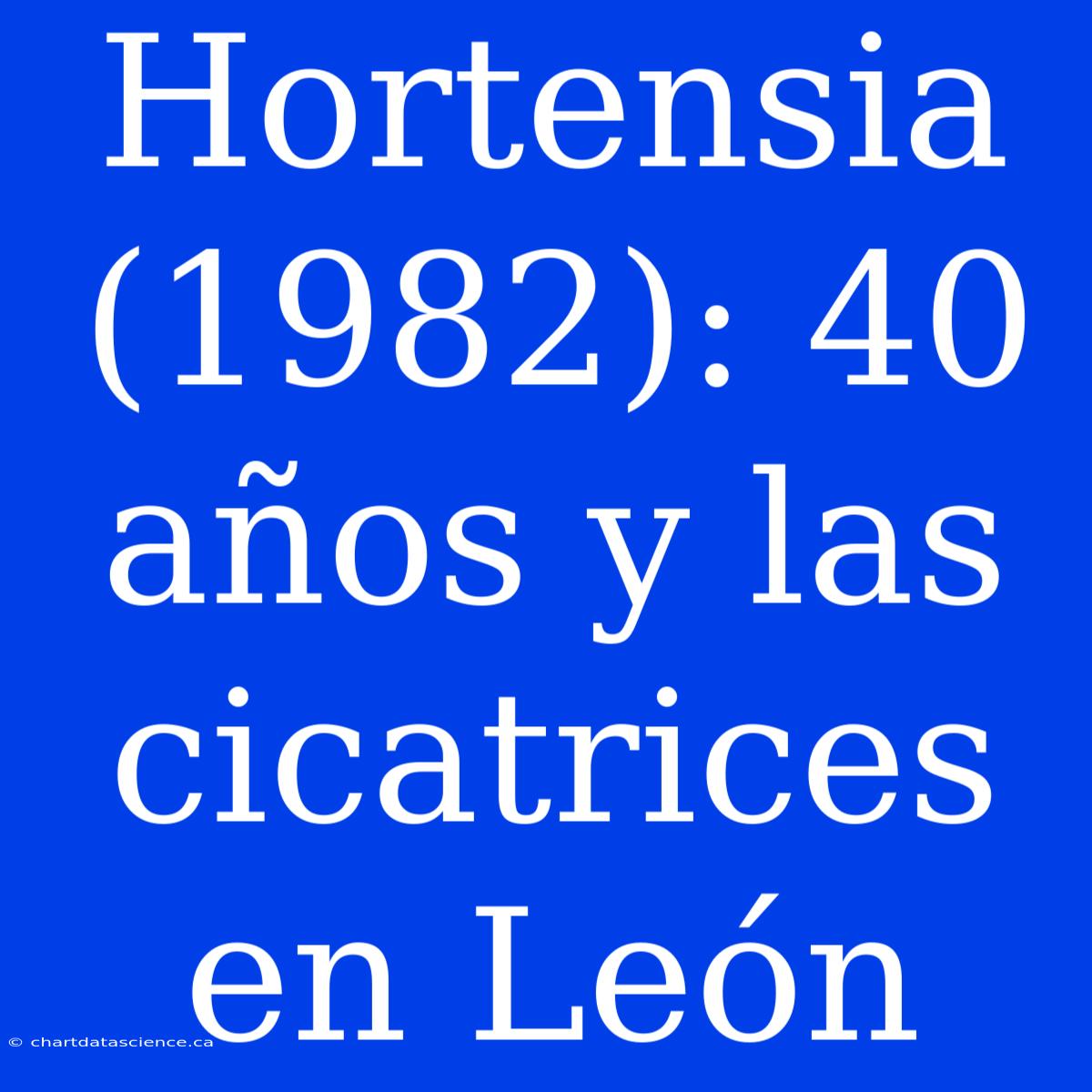 Hortensia (1982): 40 Años Y Las Cicatrices En León