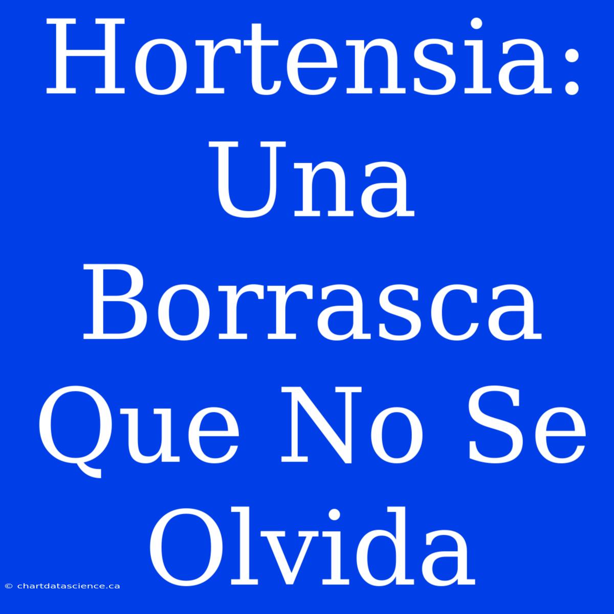 Hortensia: Una Borrasca Que No Se Olvida