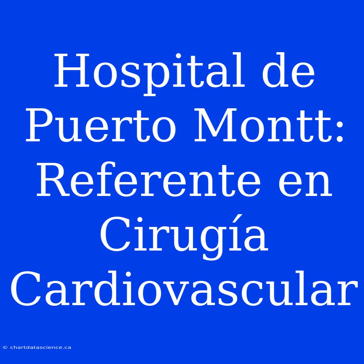 Hospital De Puerto Montt: Referente En Cirugía Cardiovascular