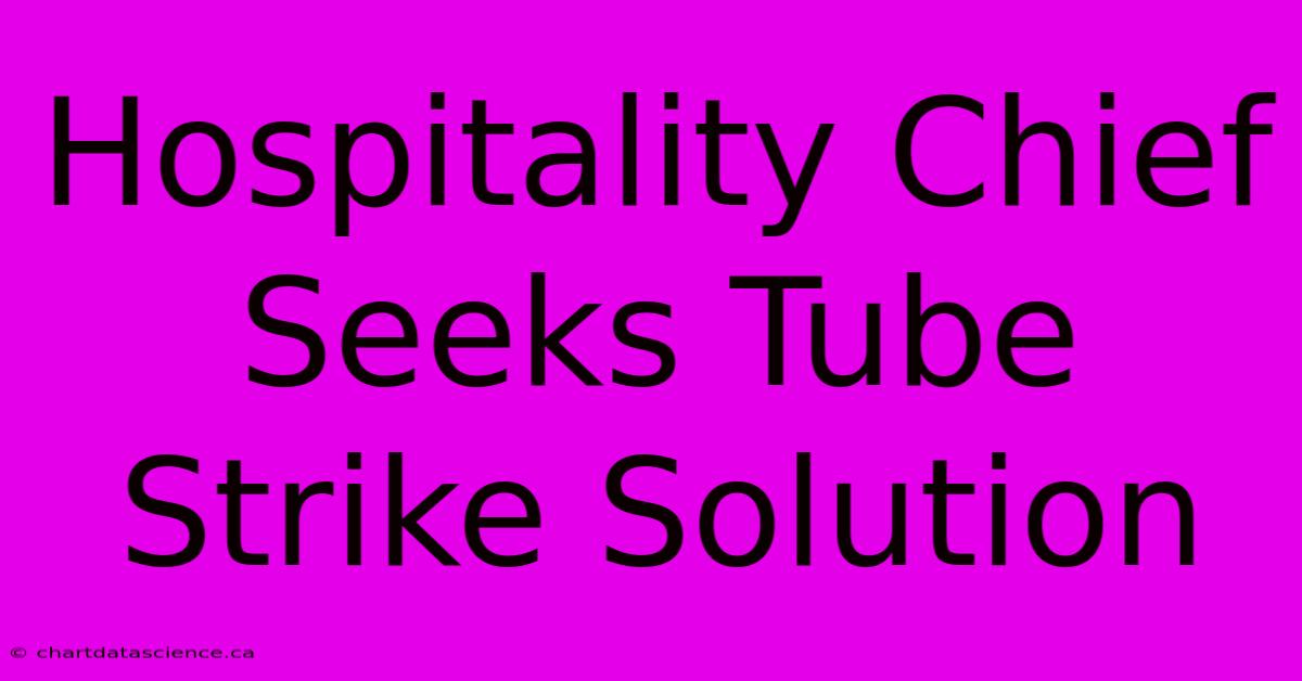 Hospitality Chief Seeks Tube Strike Solution