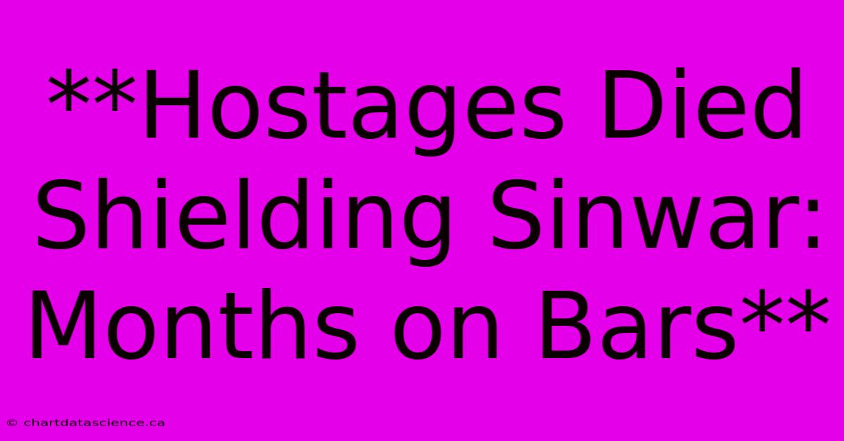 **Hostages Died Shielding Sinwar: Months On Bars**