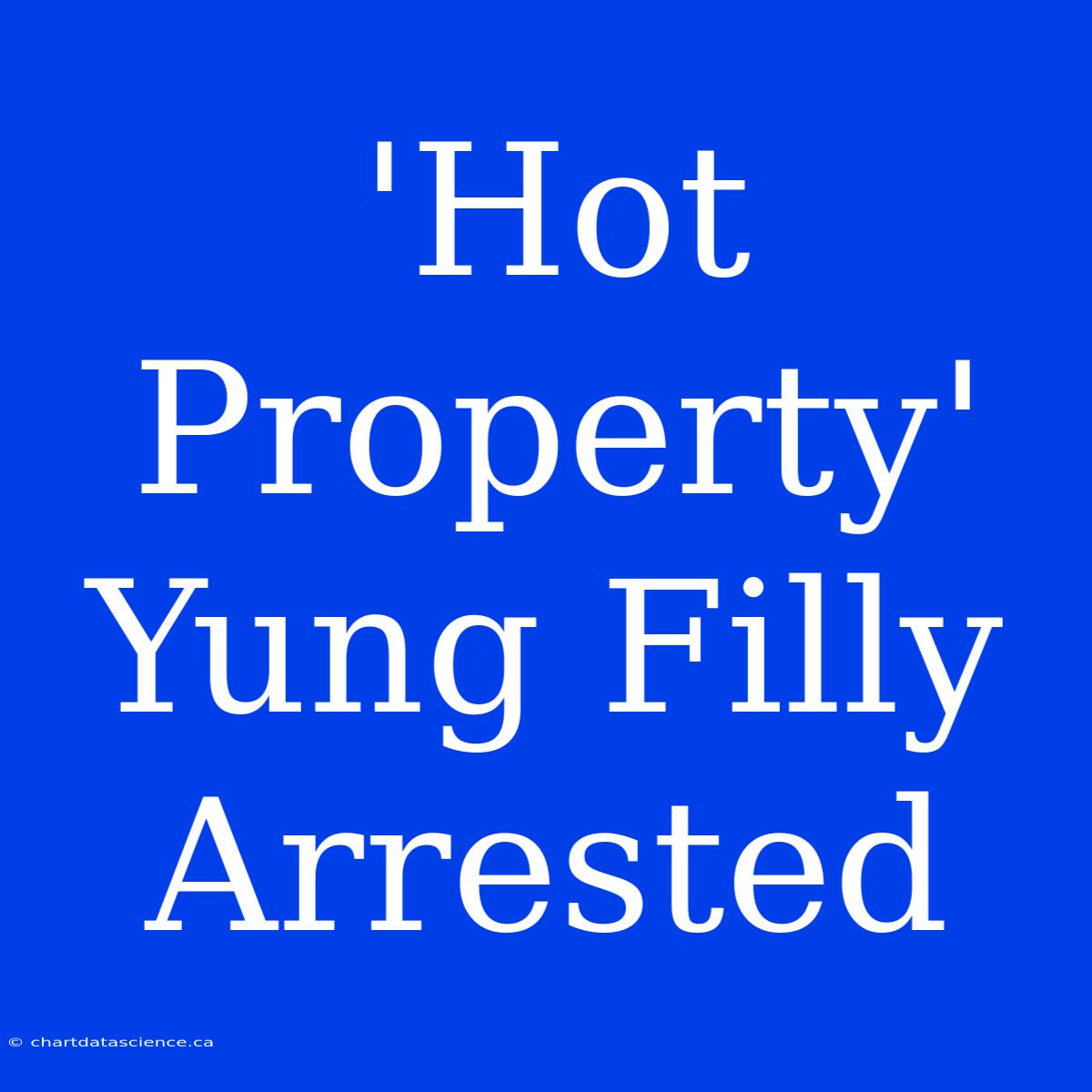 'Hot Property' Yung Filly Arrested