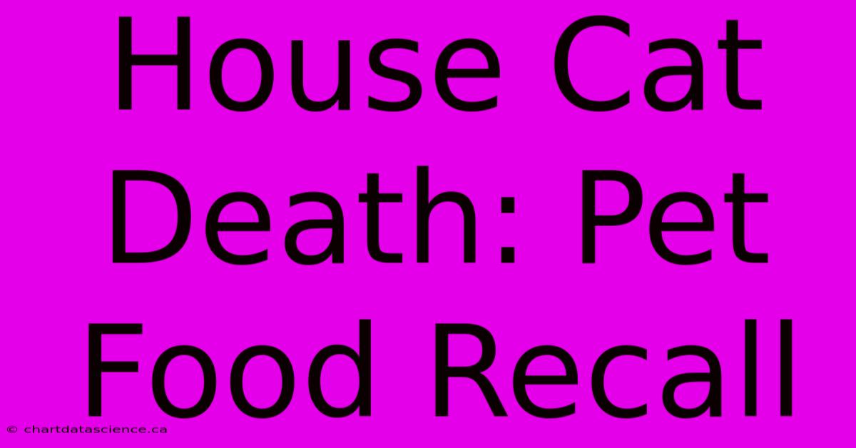 House Cat Death: Pet Food Recall