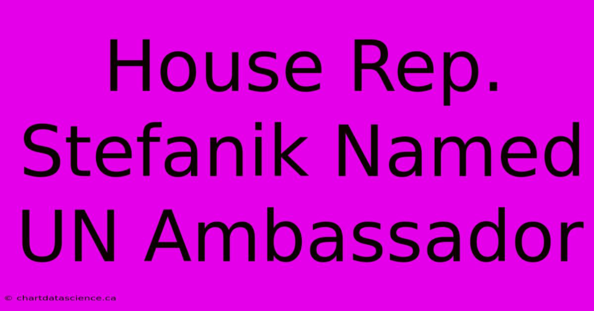 House Rep. Stefanik Named UN Ambassador