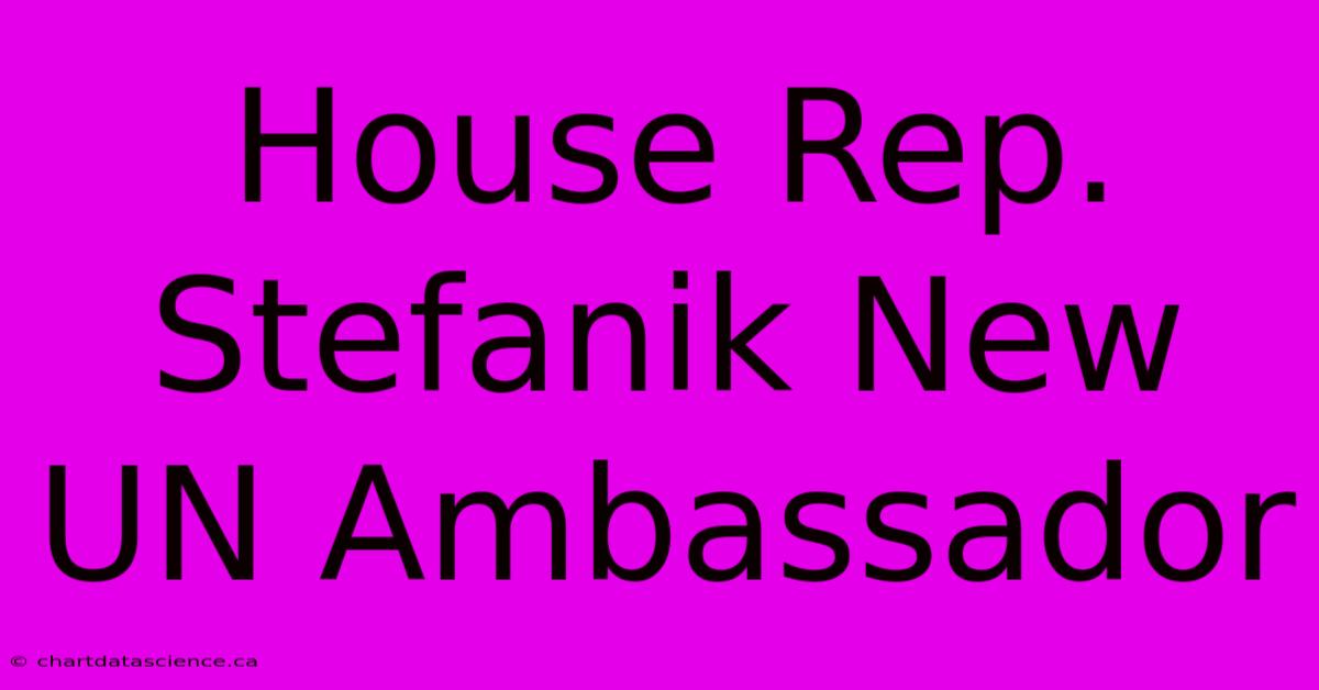 House Rep. Stefanik New UN Ambassador