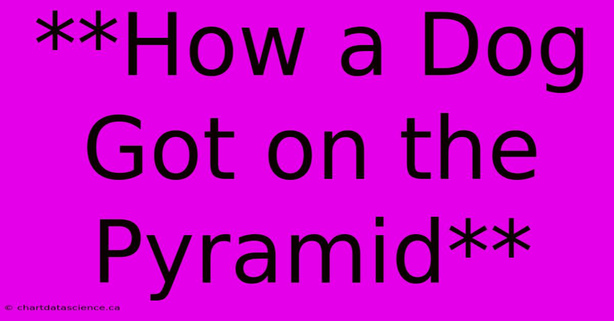 **How A Dog Got On The Pyramid**