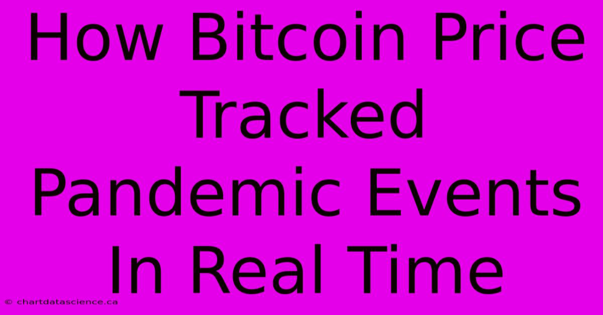 How Bitcoin Price Tracked Pandemic Events In Real Time