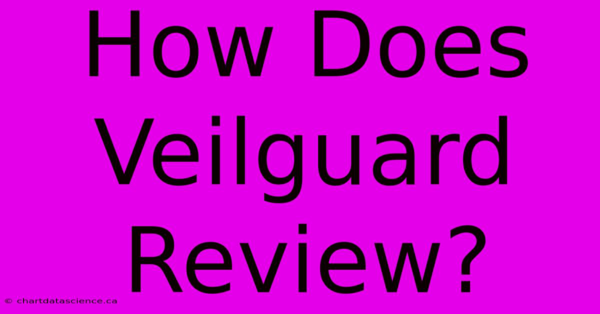 How Does Veilguard Review? 