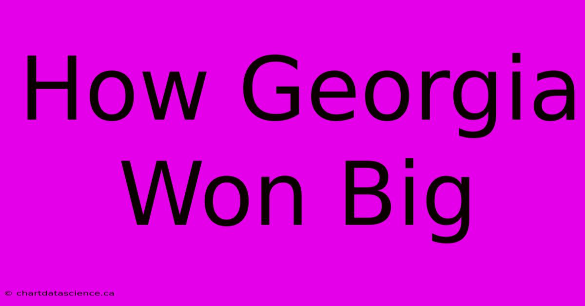 How Georgia Won Big