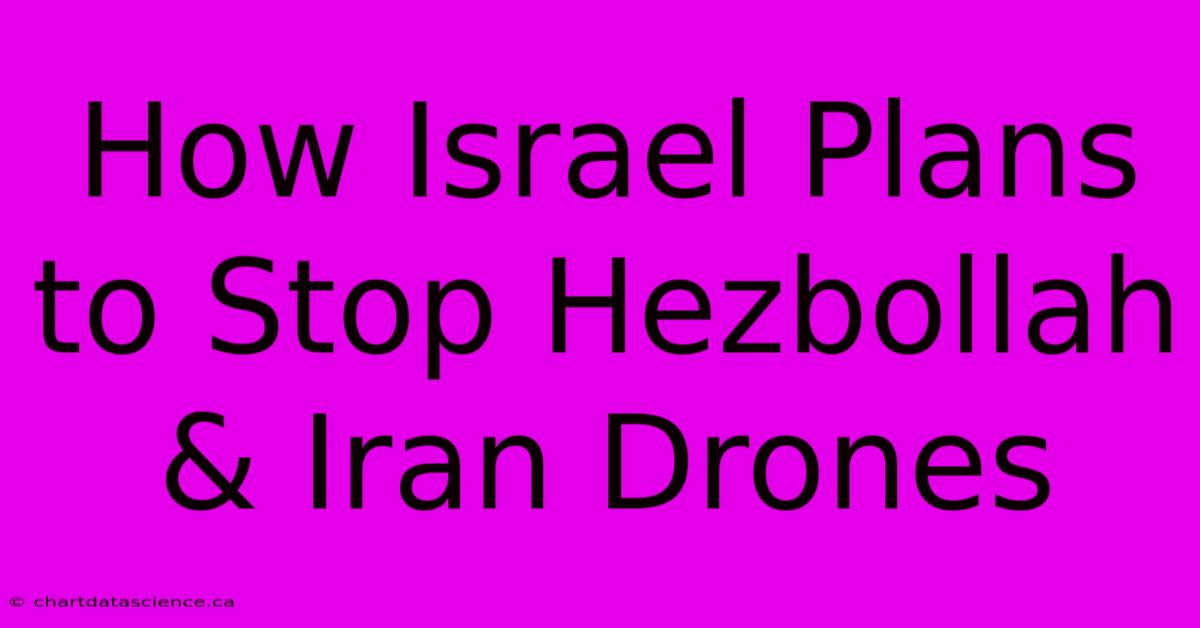 How Israel Plans To Stop Hezbollah & Iran Drones 