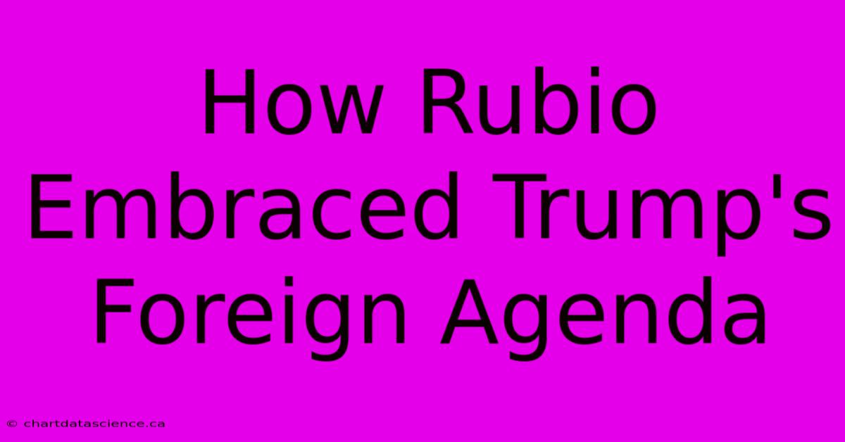 How Rubio Embraced Trump's Foreign Agenda