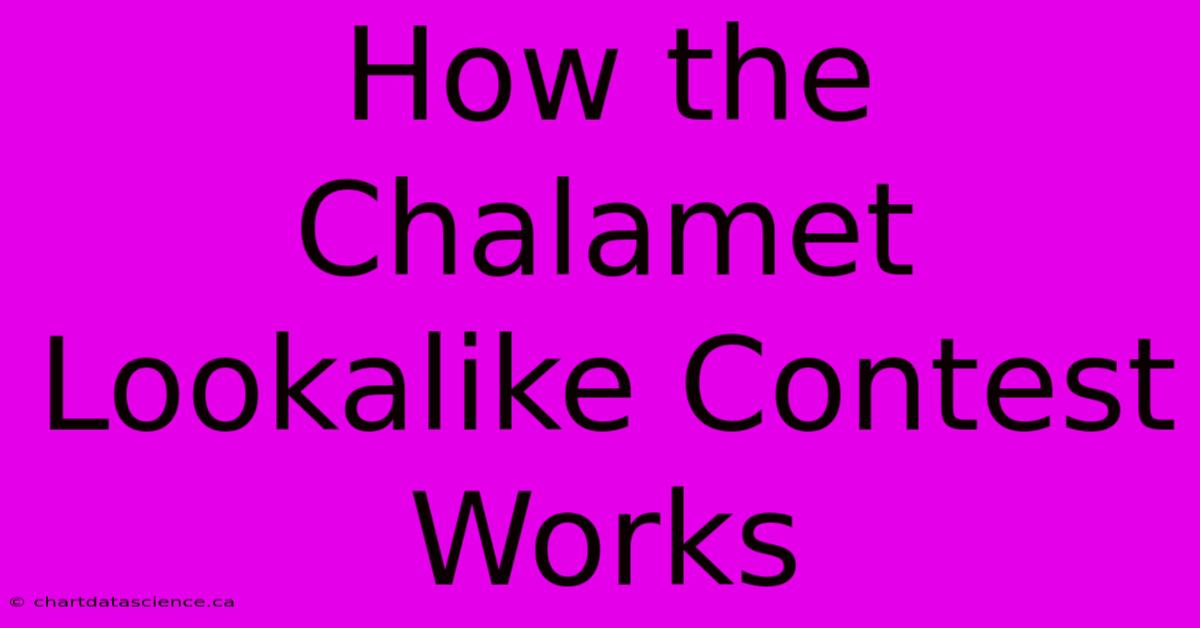 How The Chalamet Lookalike Contest Works