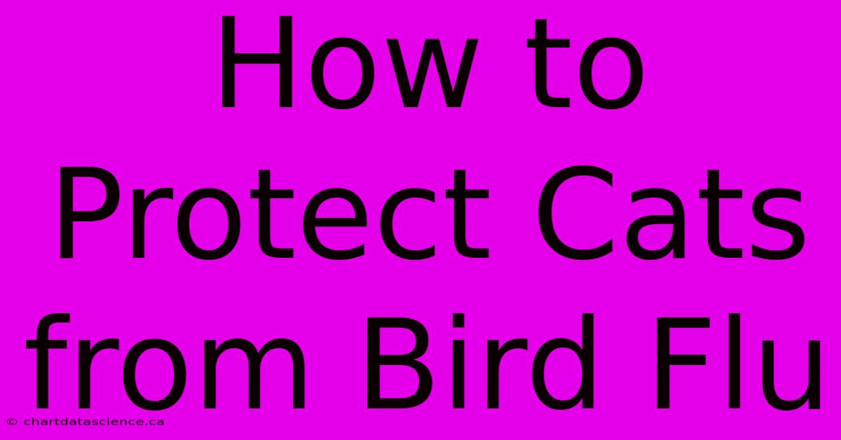 How To Protect Cats From Bird Flu