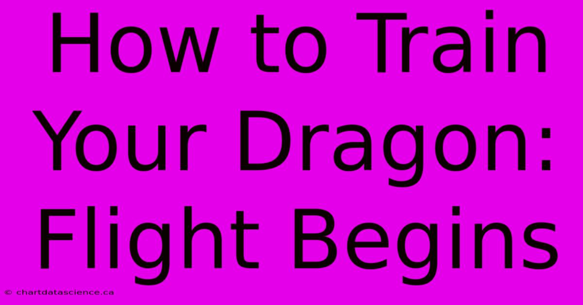 How To Train Your Dragon: Flight Begins