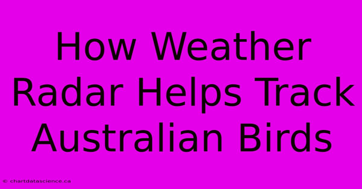 How Weather Radar Helps Track Australian Birds 