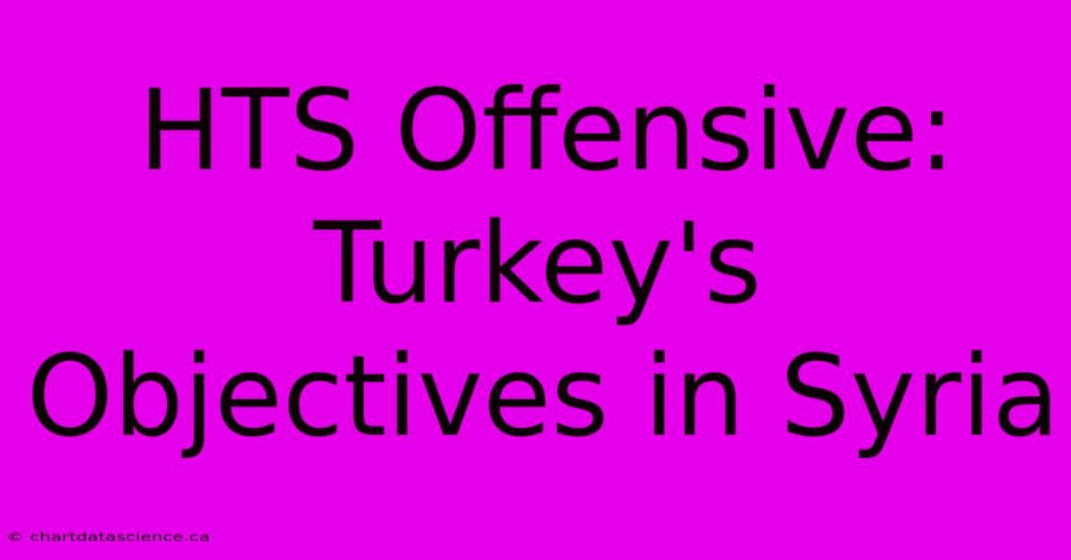 HTS Offensive: Turkey's Objectives In Syria