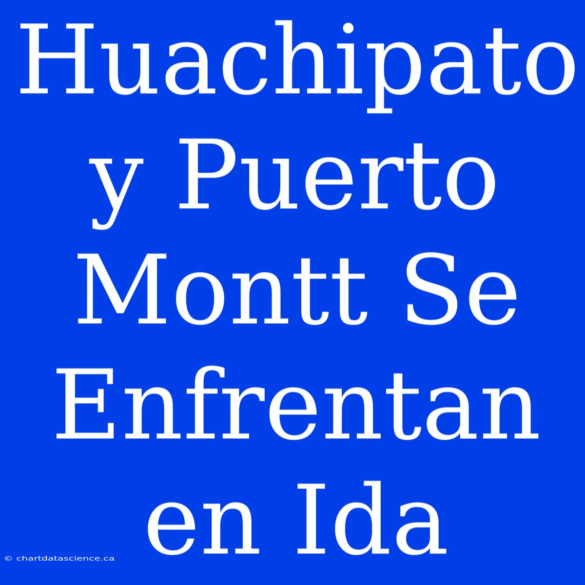 Huachipato Y Puerto Montt Se Enfrentan En Ida