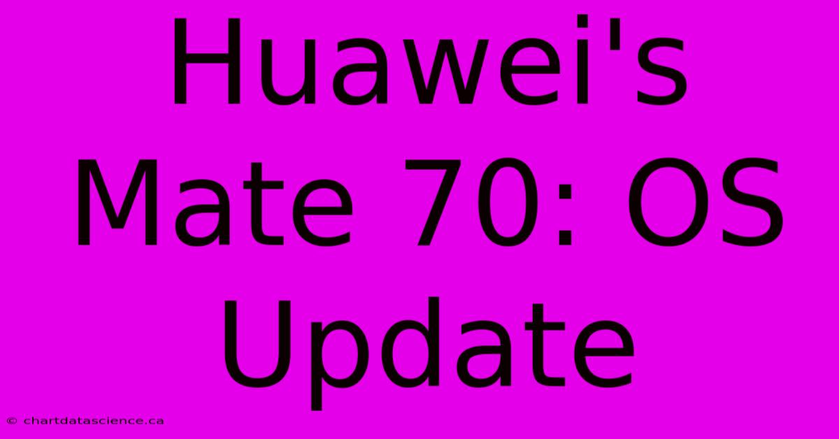 Huawei's Mate 70: OS Update