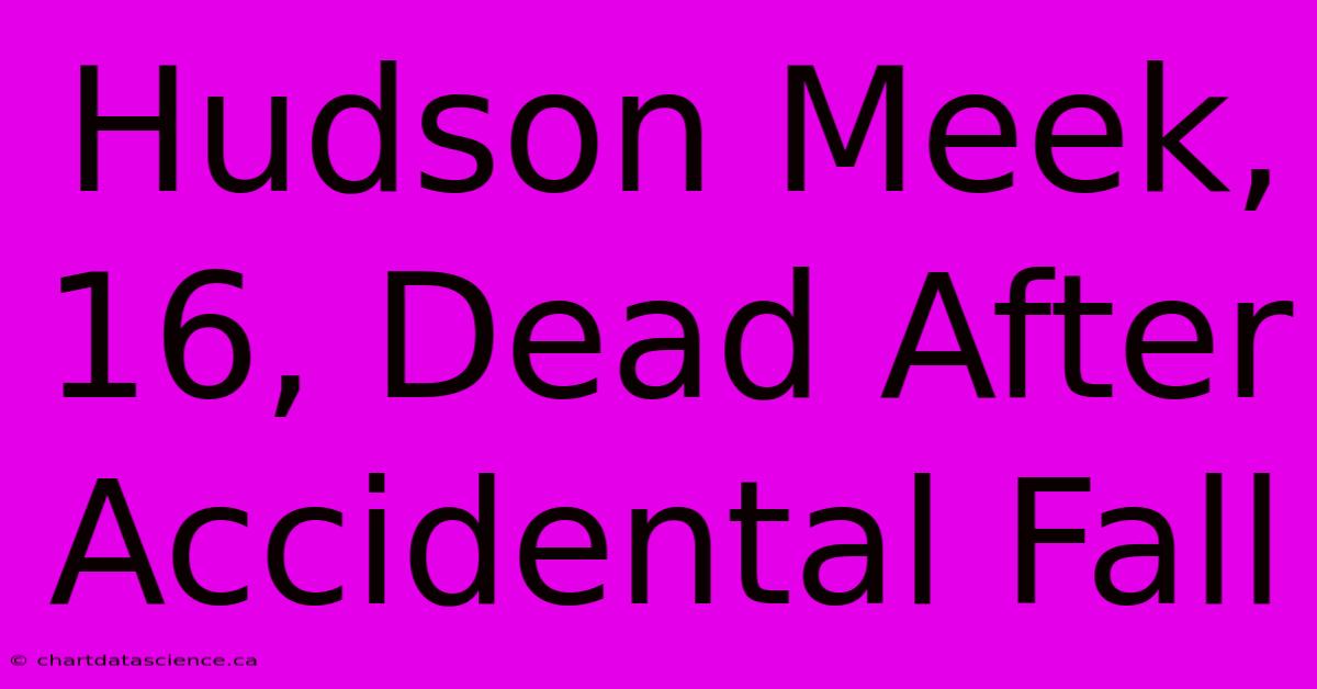 Hudson Meek, 16, Dead After Accidental Fall