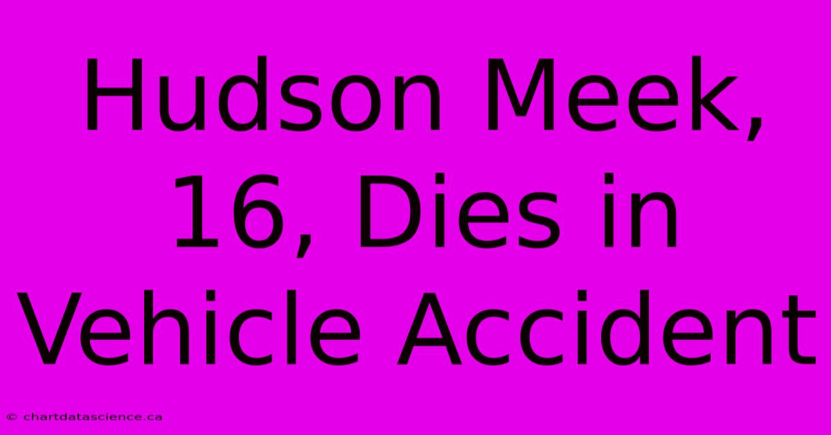 Hudson Meek, 16, Dies In Vehicle Accident