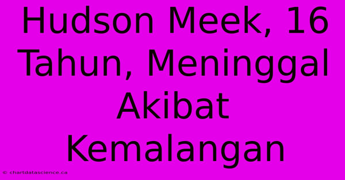 Hudson Meek, 16 Tahun, Meninggal Akibat Kemalangan