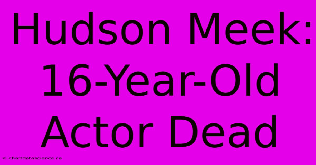 Hudson Meek: 16-Year-Old Actor Dead