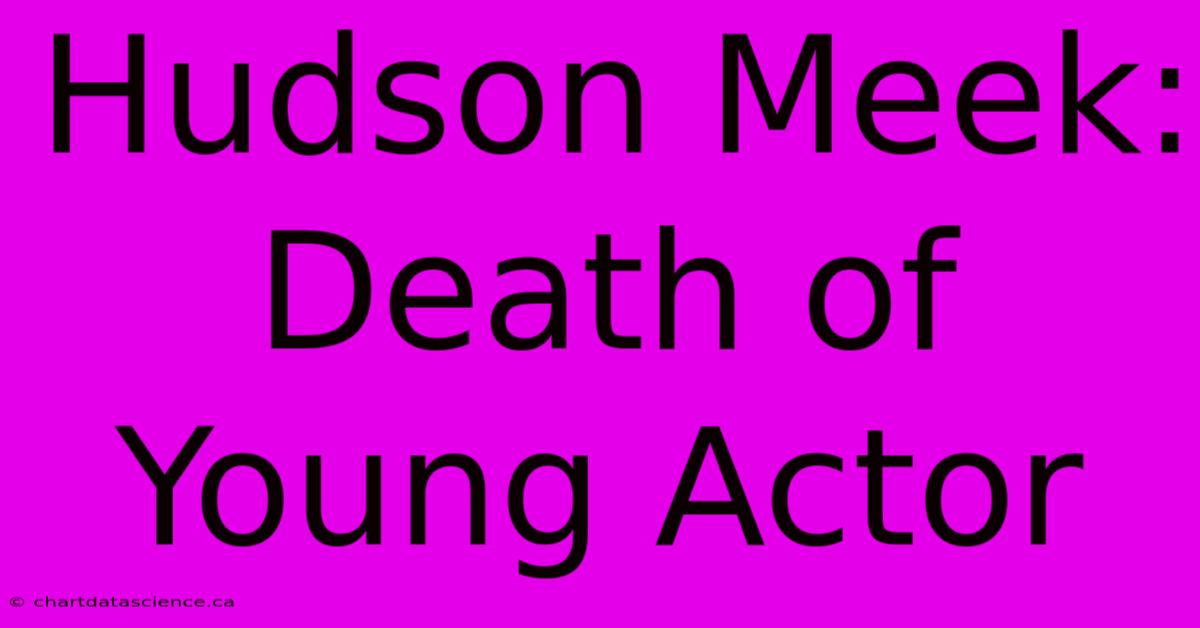 Hudson Meek: Death Of Young Actor