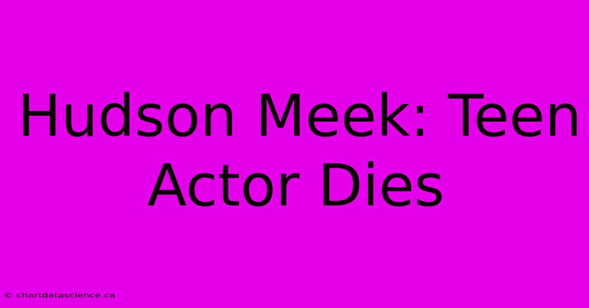 Hudson Meek: Teen Actor Dies