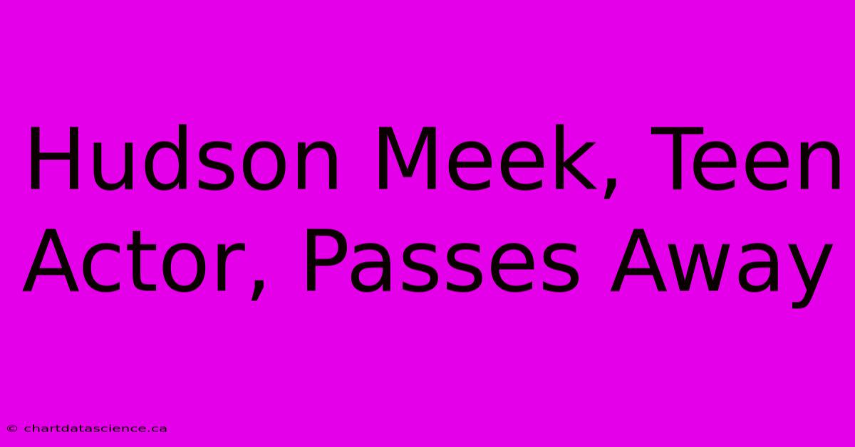 Hudson Meek, Teen Actor, Passes Away