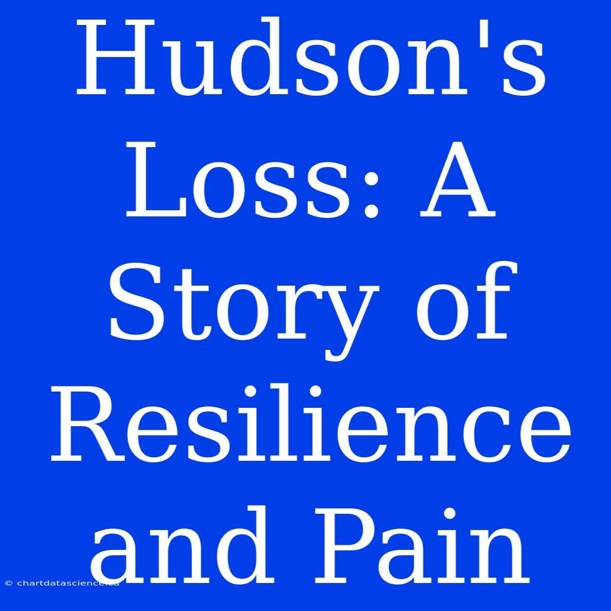 Hudson's Loss: A Story Of Resilience And Pain